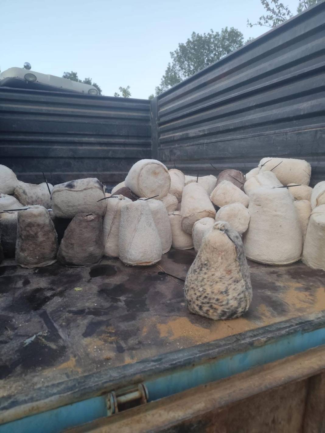 Mucize lezzet, Konya’da inlerden çıkmaya başladı 2